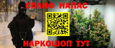 гашик Пенза
