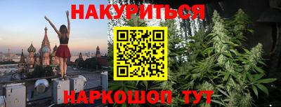 Альфа ПВП Обь