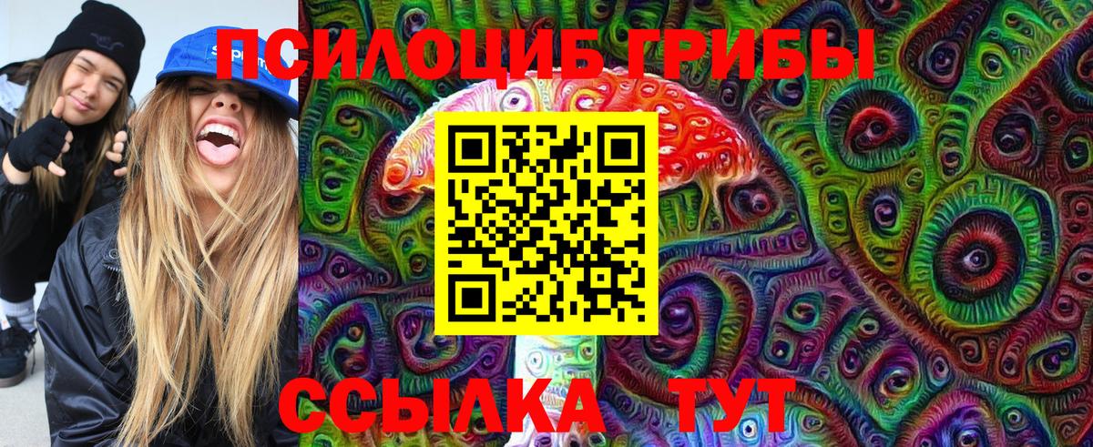 Псилоцибиновые грибы Psilocybe Рославль